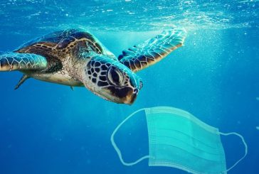 Meeresverschmutzung durch Masken