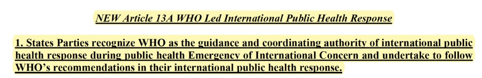 WHO Pandemievertrag